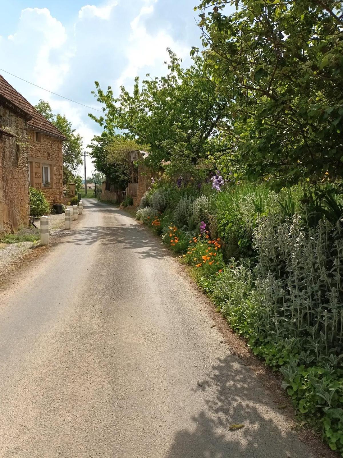 Ferme De Lagrave Hotel Coux-et-Bigaroque-Mouzens Kültér fotó